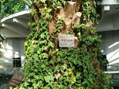 -北京植物园-展览温室