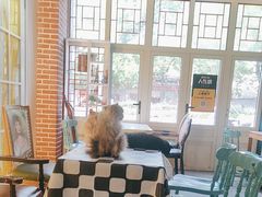 -猫小院猫主题餐厅(南锣旗舰店)