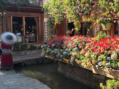 -民食香·腊排骨野生菌美食(木府店)