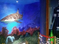 -船奇蒸汽海鲜·闽菜(八市海鲜总店)