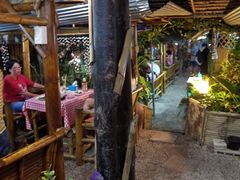 -Jungle Kitchen