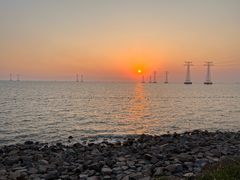 -宝安西湾红树林湿地公园