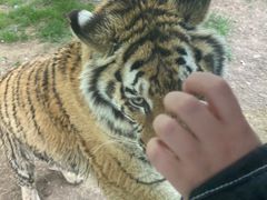 -西安秦岭野生动物园