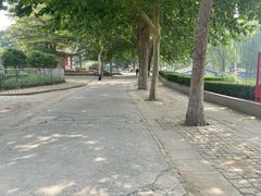 -保定市动物园