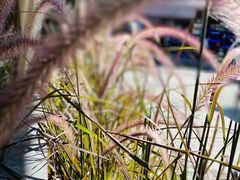 -The Flowers Coffee(南山店)