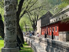 -晋祠公园