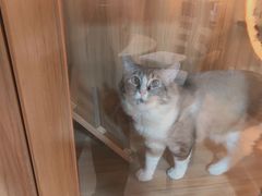 -白兔子密室(长寿路店)