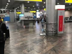 环境-谢列梅捷沃国际机场