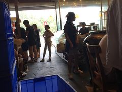 -老号尤兔头(幸福店)