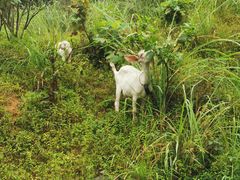 -将军关探险漂流