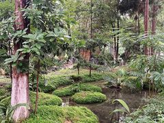 -成都市活水公园