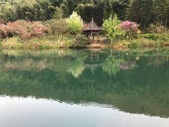-天目湖山水园