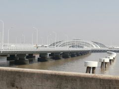 -上海吴淞炮台湾国家湿地公园