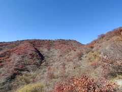 -水峪民俗村