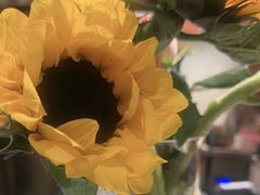-喃喃椰·糟粕醋·椰子鸡火锅(七堡花园店)