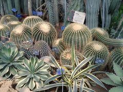 -国家植物园南园