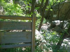 -鲁山国家森林公园