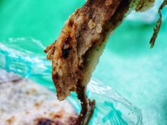 糖饼-大益烤鸡