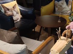 -咖法森林·咖啡  酒吧(天河店)