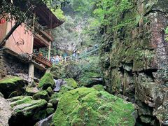 -藏龙百瀑风景区