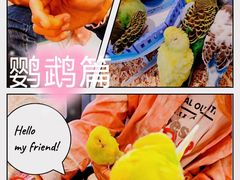 -怪兽屋·羊驼·猫咖·狗咖(俊华广场店)