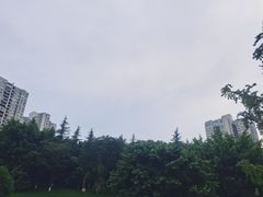 -龙头寺公园