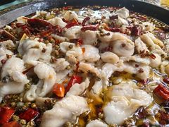 -金三可市井水煮鱼(金碧园店)