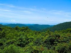-东莞市大岭山森林公园
