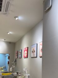 -洗脸猫·洗脸吧