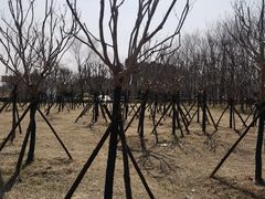 -嘉北郊野公园