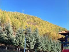 -塞罕坝国家级自然保护区