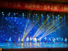 -陕西省小天鹅艺术团