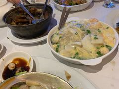 -食为先(Shark Fin)
