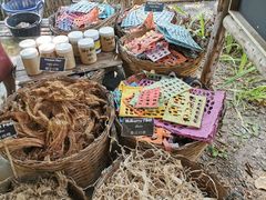 -大象粑粑造纸公园