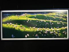 -罗红摄影艺术馆