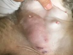-纳吉亚猫专科动物医院博雅分院