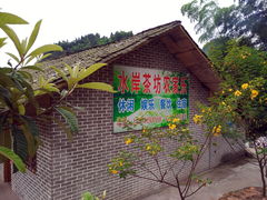 -沐川竹海旅游景区