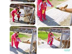 -天津蜂巢幼儿园·托育