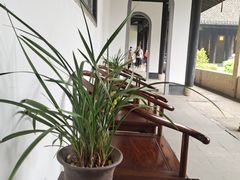 -兰亭风景区