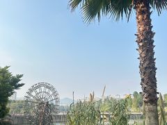 -枫香湖儿童公园