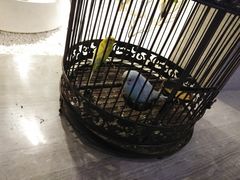 -云中漫步·足疗养生会馆(金开店)