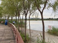 -绿堤公园