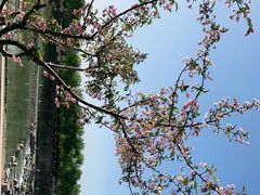 -洨河生态公园
