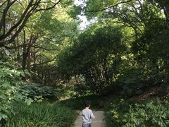 -宋庆龄陵园