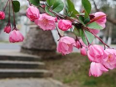-南京市江宁方山