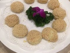 -常州环球恐龙城维景国际大酒店