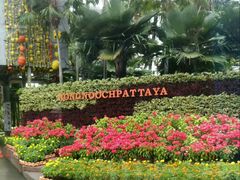 -东芭乐园