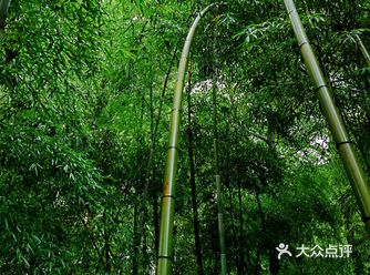 雨天去的，在富贵山隧道口附近，一个小门，不明真相的或