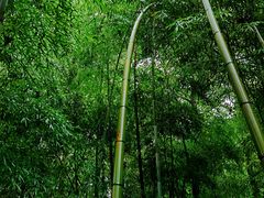 -紫金山索道-售票处
