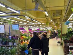 -长春青怡坊鲜花批发(青怡坊花鸟市场店)